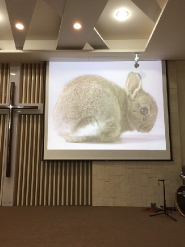 教會投影機升級換新