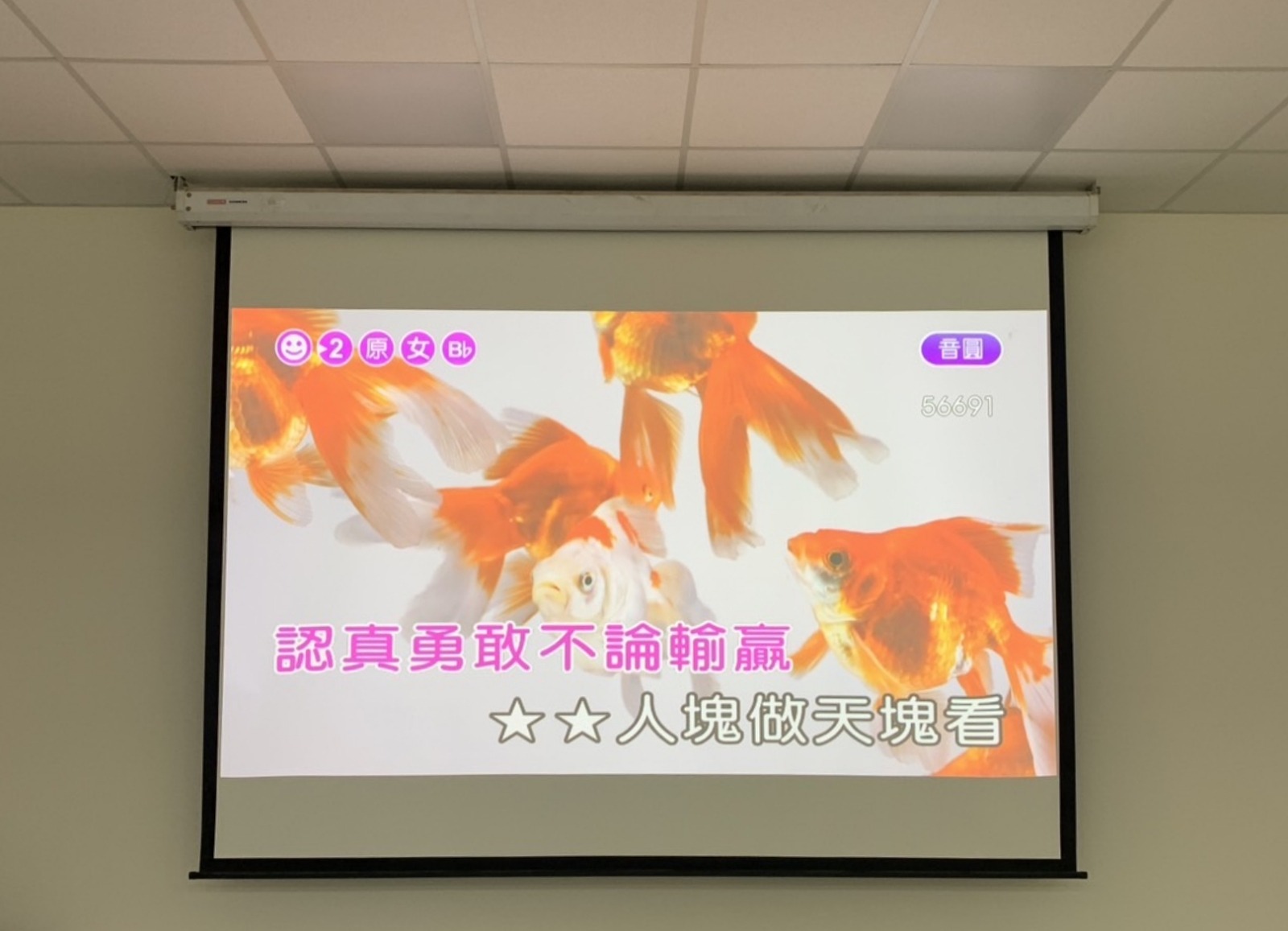 Panasonic PT-VMZ71T